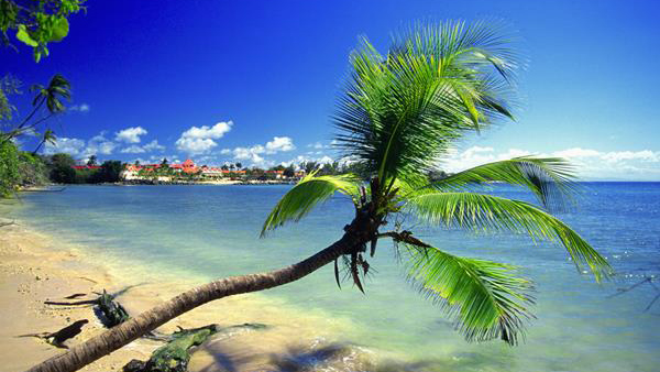 В Тринидаде появится гостиница для ЦОДов от Caribbean IXP